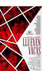 Llueven vacas