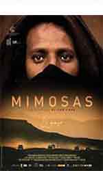 Mimosas