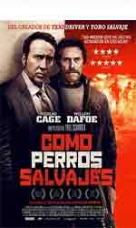 Como perros salvajes