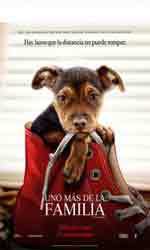 Uno m�s de la familia