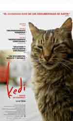 Kedi (Gatos de Estambul)