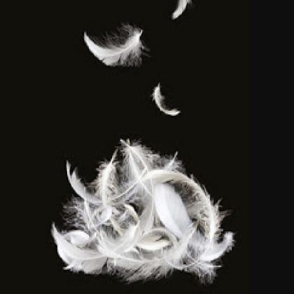 L�BRATE DE LAS COSAS HERMOSAS QUE TE DESEO