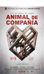 Animal de compa�ia
