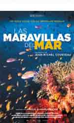 Las maravillas del mar