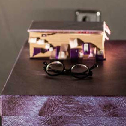 LLENAR EL MUNDO DE VIOLETAS