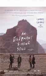 An Elephant Sitting Still