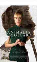 Animales sin collar
