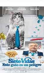 Siete vidas, este gato es un peligro