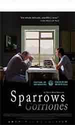 Gorriones (Sparrows)