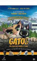 Gatos. Un viaje de vuelta a casa